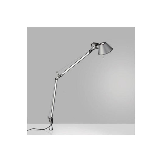 Tolomeo Fijo detail
