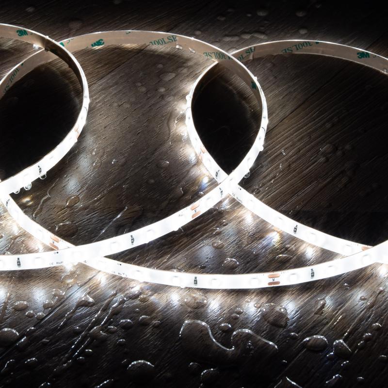 Lumexa Stripivo LED-strip 24V SMD 60 LED/m 5W/m 8 mm 5 m