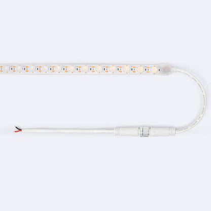 Lumexa Wallaro LED-strip 24V Wall Washer 30° 17W/m 5 m