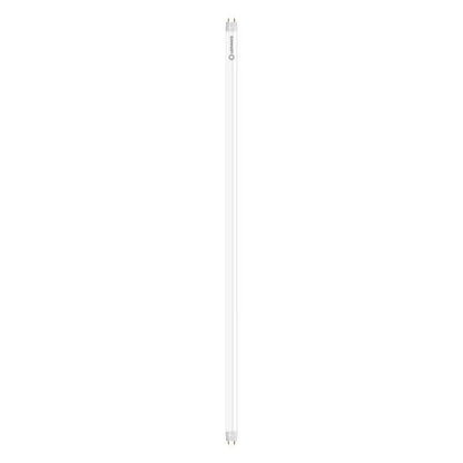 LEDVANCE LED Buis T8 Glas