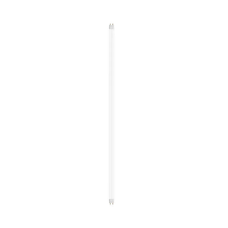 LEDVANCE LED Buis T8 Glas