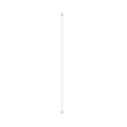 LEDVANCE LED Buis T8 Glas